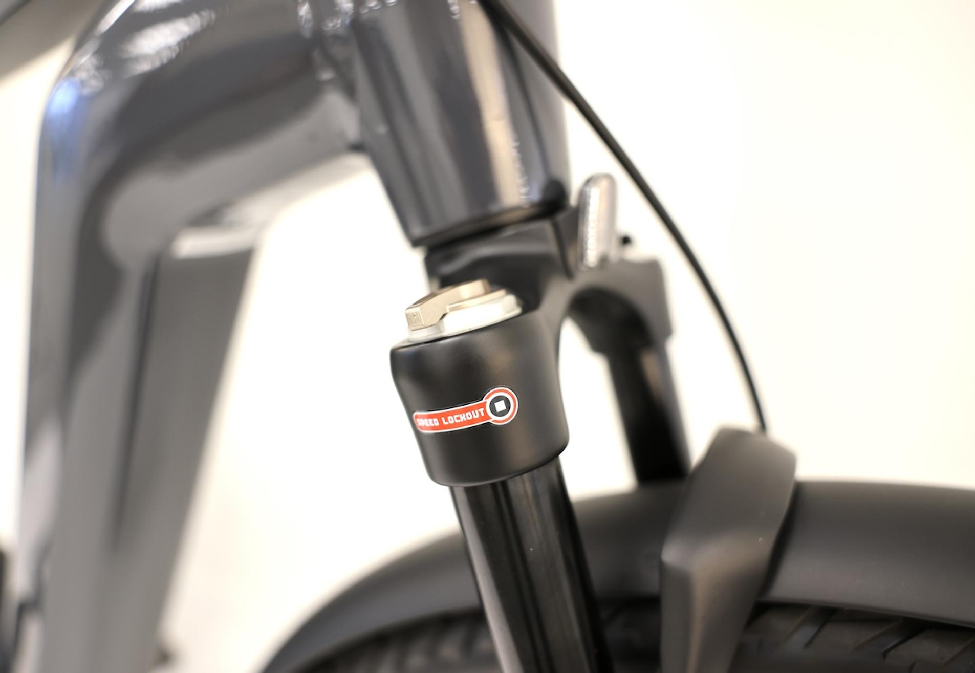 Flyer - eBike (25km/hr)