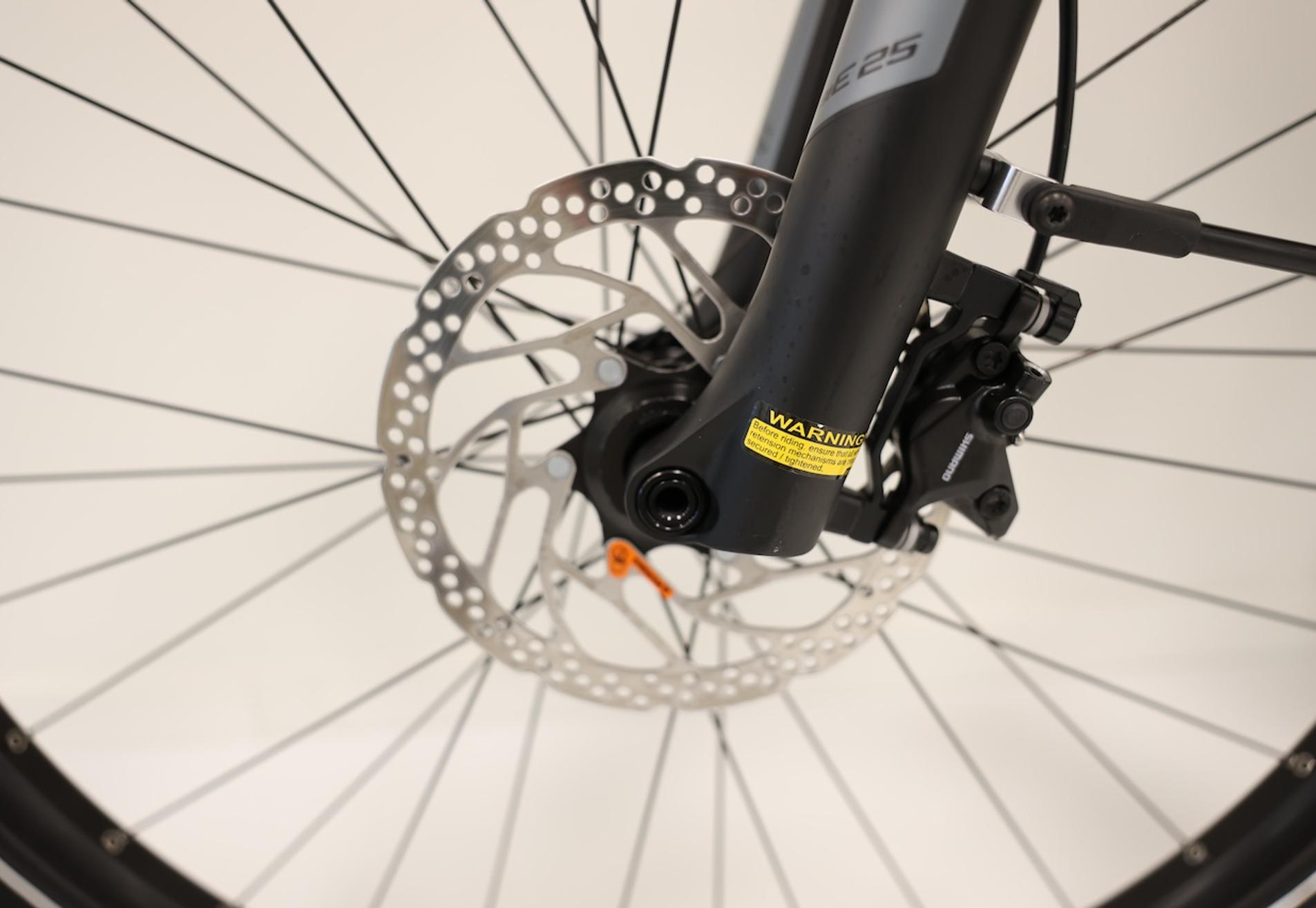 Flyer - eBike (25km/hr)